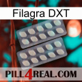 Filagra DXT 07